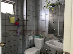 Buona Vista Gardens (D5), Condominium #507797911